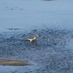 29.07.2017 - Muzyczne Podróże Przez Świat - Korfu / Jarosław Sułek