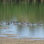 29.07.2017 - Muzyczne Podróże Przez Świat - Korfu / Jarosław Sułek