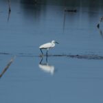 29.07.2017 - Muzyczne Podróże Przez Świat - Korfu / Jarosław Sułek