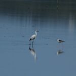 29.07.2017 - Muzyczne Podróże Przez Świat - Korfu / Jarosław Sułek