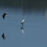 29.07.2017 - Muzyczne Podróże Przez Świat - Korfu / Jarosław Sułek