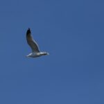 29.07.2017 - Muzyczne Podróże Przez Świat - Korfu / Jarosław Sułek