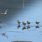 29.07.2017 - Muzyczne Podróże Przez Świat - Korfu / Jarosław Sułek