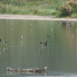 29.07.2017 - Muzyczne Podróże Przez Świat - Korfu / Jarosław Sułek