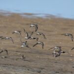 29.07.2017 - Muzyczne Podróże Przez Świat - Korfu / Jarosław Sułek