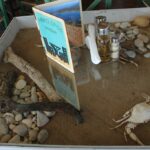 29.07.2017 - Muzyczne Podróże Przez Świat - Korfu / Jarosław Sułek