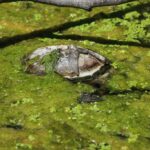 29.07.2017 - Muzyczne Podróże Przez Świat - Korfu / Jarosław Sułek