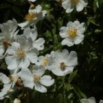 29.07.2017 - Muzyczne Podróże Przez Świat - Korfu / Jarosław Sułek