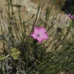 29.07.2017 - Muzyczne Podróże Przez Świat - Korfu / Jarosław Sułek