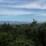 29.07.2017 - Muzyczne Podróże Przez Świat - Korfu / Jarosław Sułek