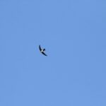 29.07.2017 - Muzyczne Podróże Przez Świat - Korfu / Jarosław Sułek