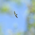 29.07.2017 - Muzyczne Podróże Przez Świat - Korfu / Jarosław Sułek