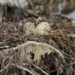 29.07.2017 - Muzyczne Podróże Przez Świat - Korfu / Jarosław Sułek