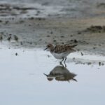 29.07.2017 - Muzyczne Podróże Przez Świat - Korfu / Jarosław Sułek