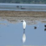 29.07.2017 - Muzyczne Podróże Przez Świat - Korfu / Jarosław Sułek