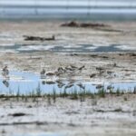 29.07.2017 - Muzyczne Podróże Przez Świat - Korfu / Jarosław Sułek