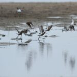 29.07.2017 - Muzyczne Podróże Przez Świat - Korfu / Jarosław Sułek