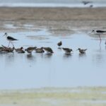 29.07.2017 - Muzyczne Podróże Przez Świat - Korfu / Jarosław Sułek