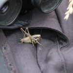 29.07.2017 - Muzyczne Podróże Przez Świat - Korfu / Jarosław Sułek