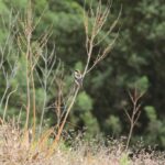 29.07.2017 - Muzyczne Podróże Przez Świat - Korfu / Jarosław Sułek