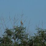 29.07.2017 - Muzyczne Podróże Przez Świat - Korfu / Jarosław Sułek