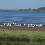 29.07.2017 - Muzyczne Podróże Przez Świat - Korfu / Jarosław Sułek