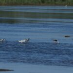 29.07.2017 - Muzyczne Podróże Przez Świat - Korfu / Jarosław Sułek