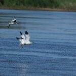 29.07.2017 - Muzyczne Podróże Przez Świat - Korfu / Jarosław Sułek