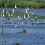 29.07.2017 - Muzyczne Podróże Przez Świat - Korfu / Jarosław Sułek