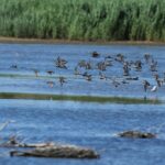 29.07.2017 - Muzyczne Podróże Przez Świat - Korfu / Jarosław Sułek