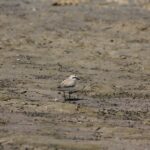 29.07.2017 - Muzyczne Podróże Przez Świat - Korfu / Jarosław Sułek