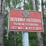 22.07.2017 - Krzemionki Opatowskie - Spotkanie z Epoką Kamienia / Emilia Sitarska / Radio Kielce