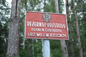 22.07.2017 - Krzemionki Opatowskie - Spotkanie z Epoką Kamienia / Emilia Sitarska / Radio Kielce