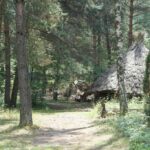 22.07.2017 - Krzemionki Opatowskie - Spotkanie z Epoką Kamienia / Emilia Sitarska / Radio Kielce