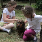 Gospodarstwo Agroturystyczne "Wieża na Górce" (05.07.2017) / Krzysztof Bujnowicz / Radio Kielce