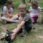 Gospodarstwo Agroturystyczne "Wieża na Górce" (05.07.2017) / Krzysztof Bujnowicz / Radio Kielce