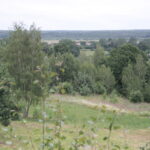 Gospodarstwo Agroturystyczne "Wieża na Górce" (05.07.2017) / Krzysztof Bujnowicz / Radio Kielce