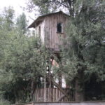 Gospodarstwo Agroturystyczne "Wieża na Górce" (05.07.2017) / Krzysztof Bujnowicz / Radio Kielce