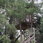 Gospodarstwo Agroturystyczne "Wieża na Górce" (05.07.2017) / Krzysztof Bujnowicz / Radio Kielce