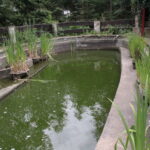 Gospodarstwo Agroturystyczne "Wieża na Górce" (05.07.2017) / Krzysztof Bujnowicz / Radio Kielce