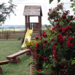 03.07.2017 Śniadka. Gospodarstwo agroturystyczne "Pod Bukiem". / Krzysztof Bujnowicz / Radio Kielce