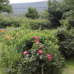 Gospodarstwo Agroturystyczne "Kapkazy" / Krzysztof Bujnowicz / Radio Kielce