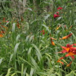 Gospodarstwo Agroturystyczne "Kapkazy" / Krzysztof Bujnowicz / Radio Kielce