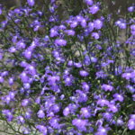 Gospodarstwo Agroturystyczne "Wieża na Górce" (05.07.2017) / Krzysztof Bujnowicz / Radio Kielce