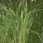 Gospodarstwo Agroturystyczne "Wieża na Górce" (05.07.2017) / Krzysztof Bujnowicz / Radio Kielce