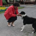 13.07.2017 Letni Raport Dnia. Margo w Raszkowie / Krzysztof Bujnowicz / Radio Kielce