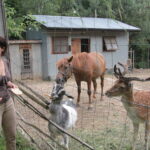 Gospodarstwo Agroturystyczne "Wieża na Górce" (05.07.2017) / Krzysztof Bujnowicz / Radio Kielce