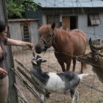 Gospodarstwo Agroturystyczne "Wieża na Górce" (05.07.2017) / Krzysztof Bujnowicz / Radio Kielce