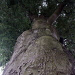 03.07.2017 Śniadka. Gospodarstwo agroturystyczne "Pod Bukiem". / Krzysztof Bujnowicz / Radio Kielce