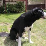 13.07.2017 Letni Raport Dnia. Margo w Raszkowie / Krzysztof Bujnowicz / Radio Kielce